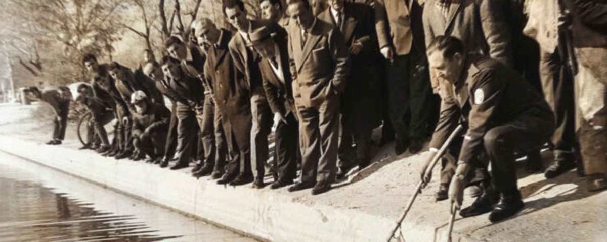 Las carpas de El Lago