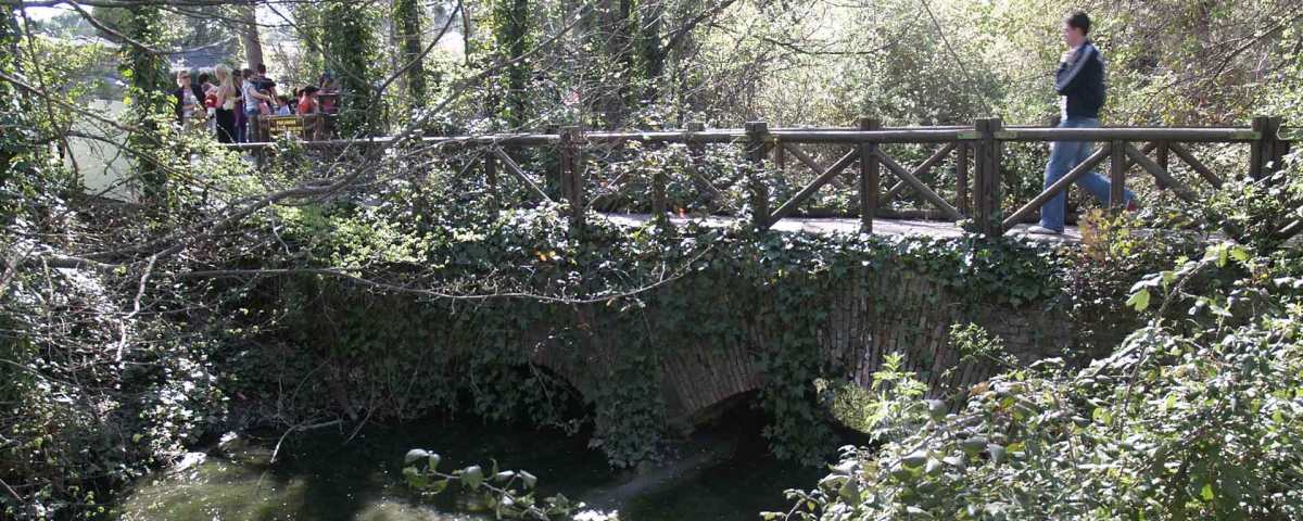 Acueducto de Vallipuente