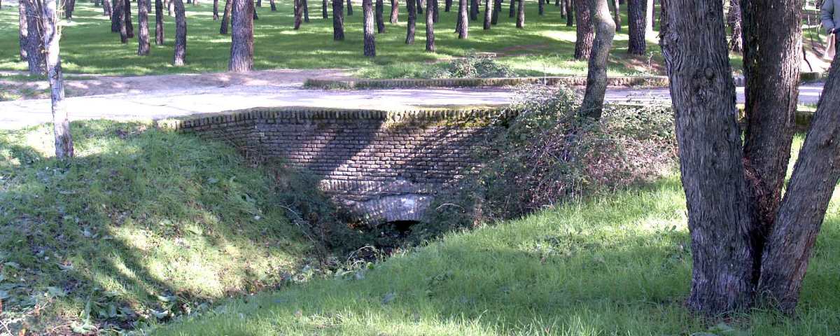 Puente del Espinillo