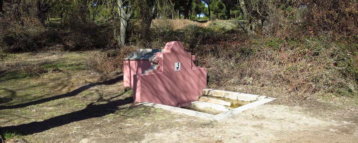 Fuente del Zarzón