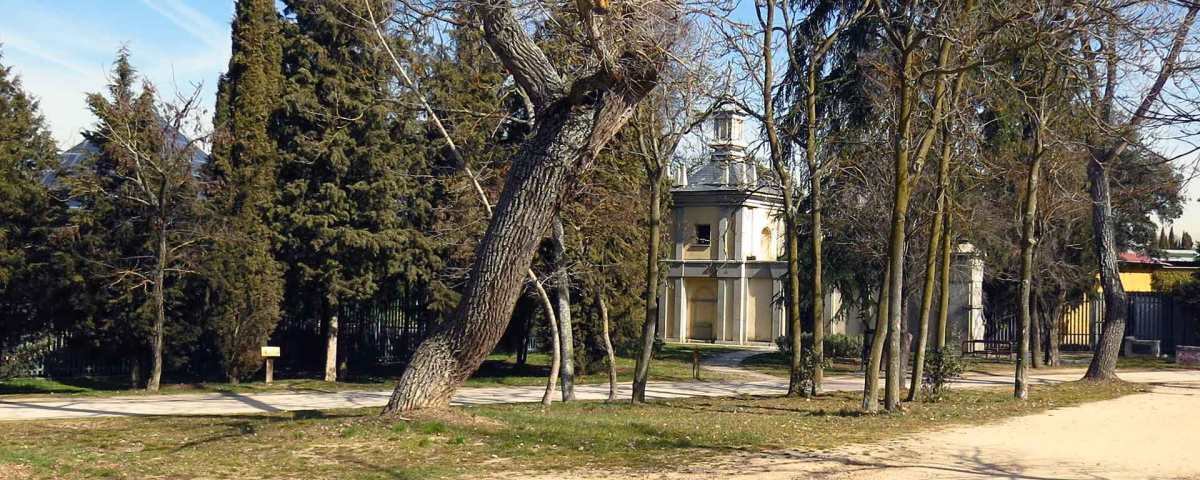 Ermita de San Pedro de Meaque