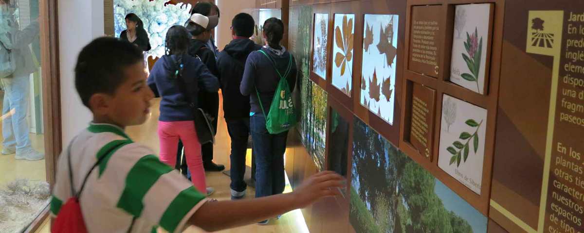 Centro de Información