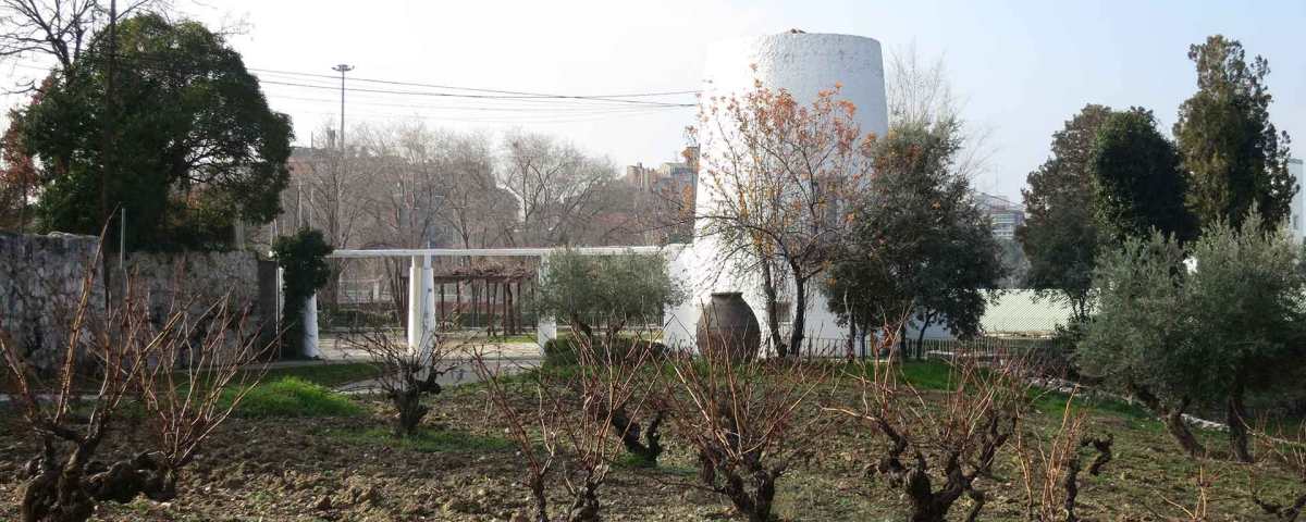 Pabellón del Vino Español