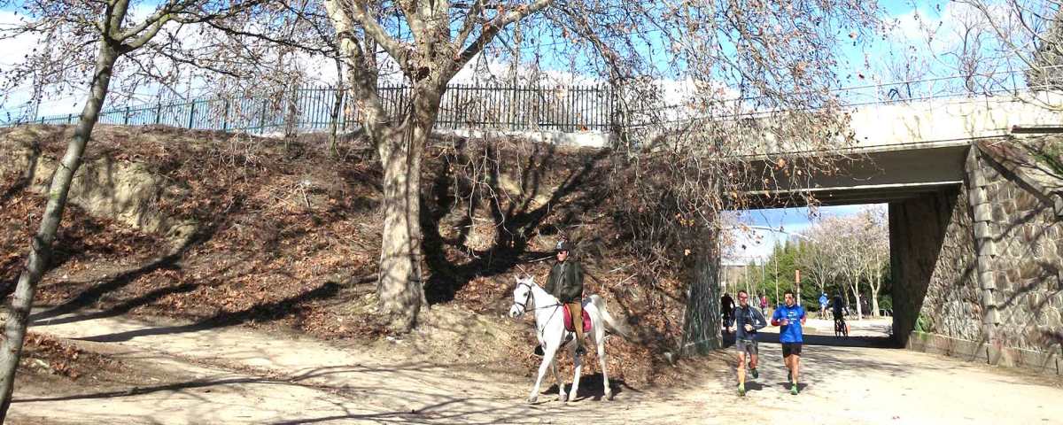Puente de los Nogales