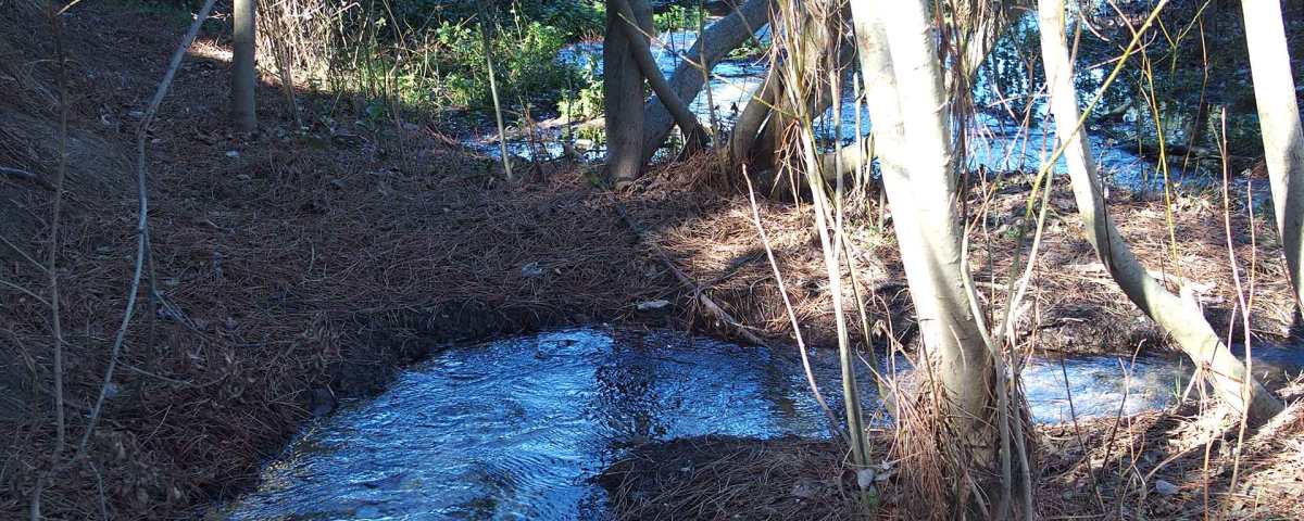 El agua en la Casa de Campo