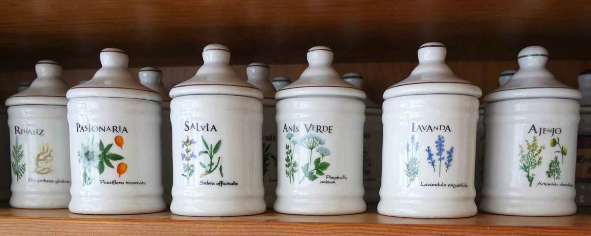 Las Plantas Medicinales en la Casa de Campo