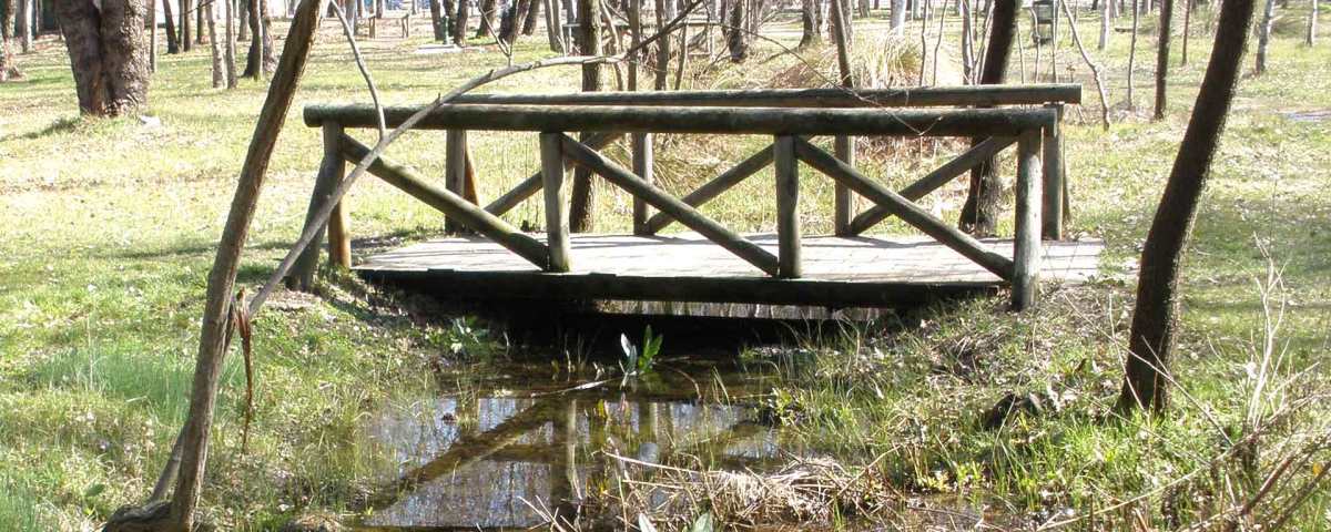 Puentes de la Casa de Campo