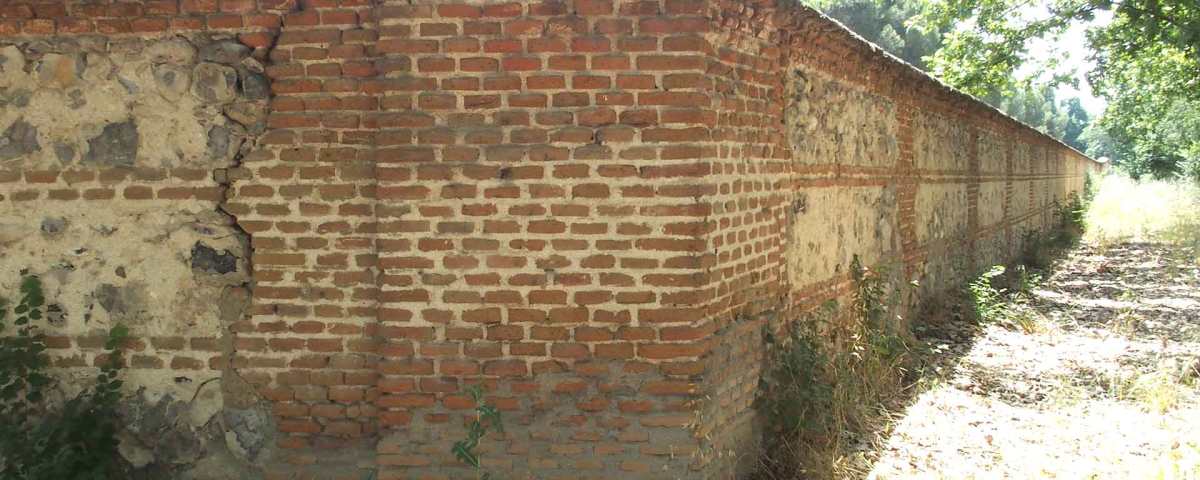 Tapia Oeste del Vivero