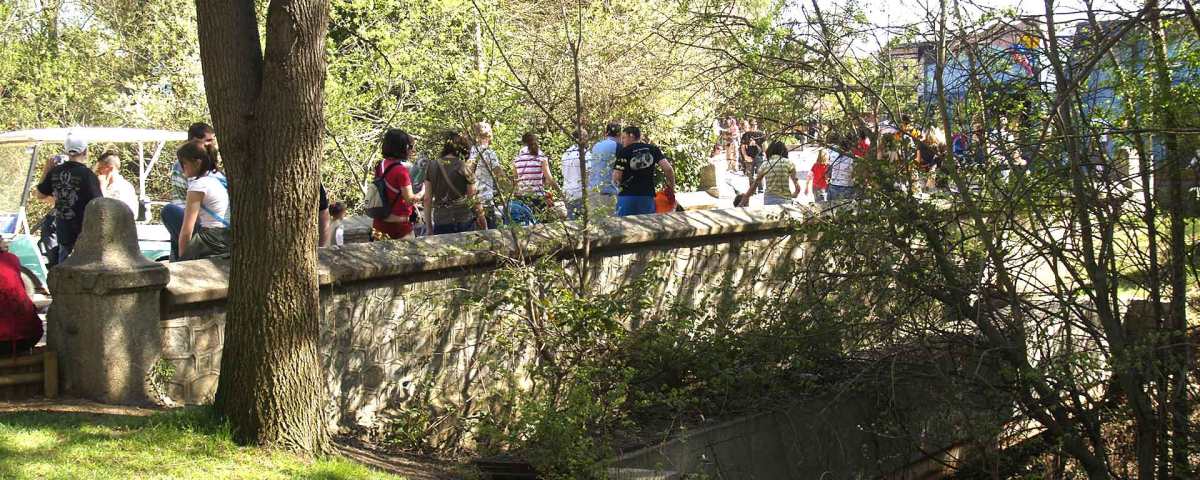 Puente de las Charcas