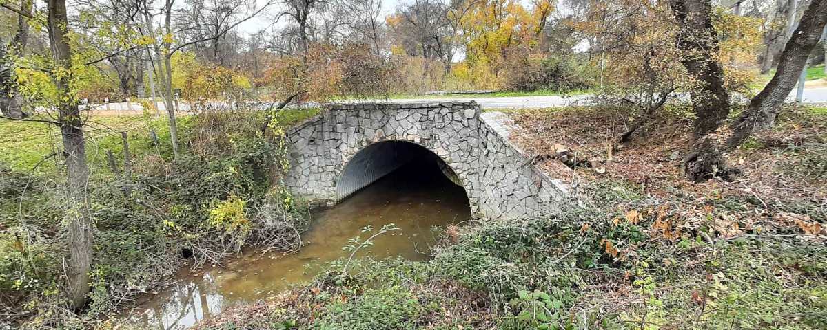 Puente de los Fresnos