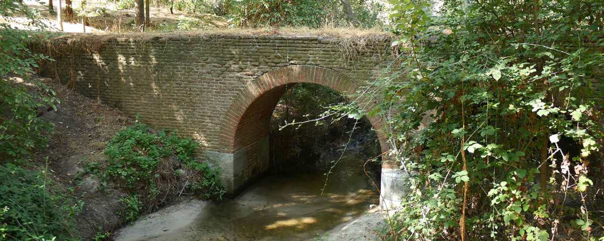 Arroyo de Antequina