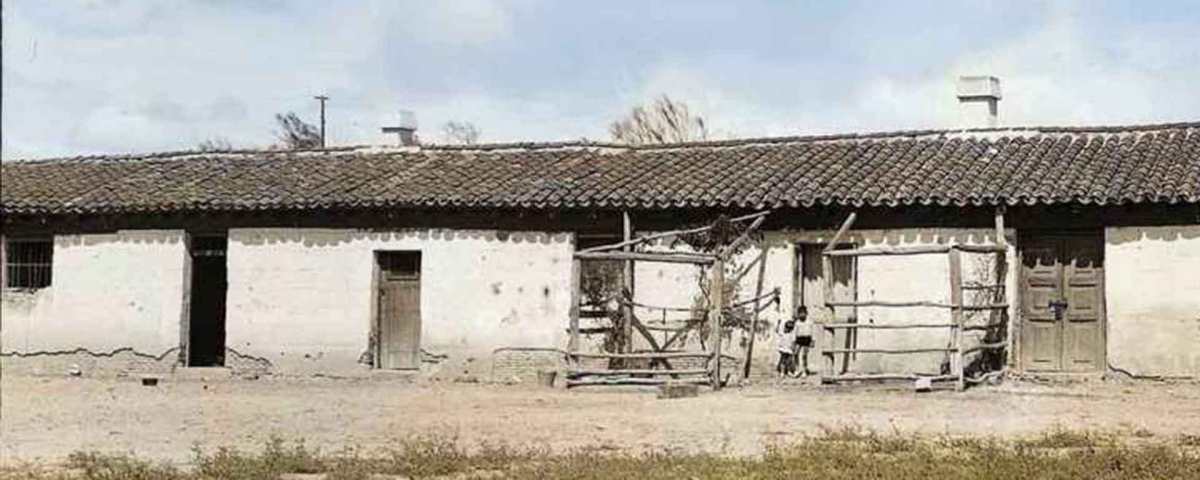 La Perrera y los perros