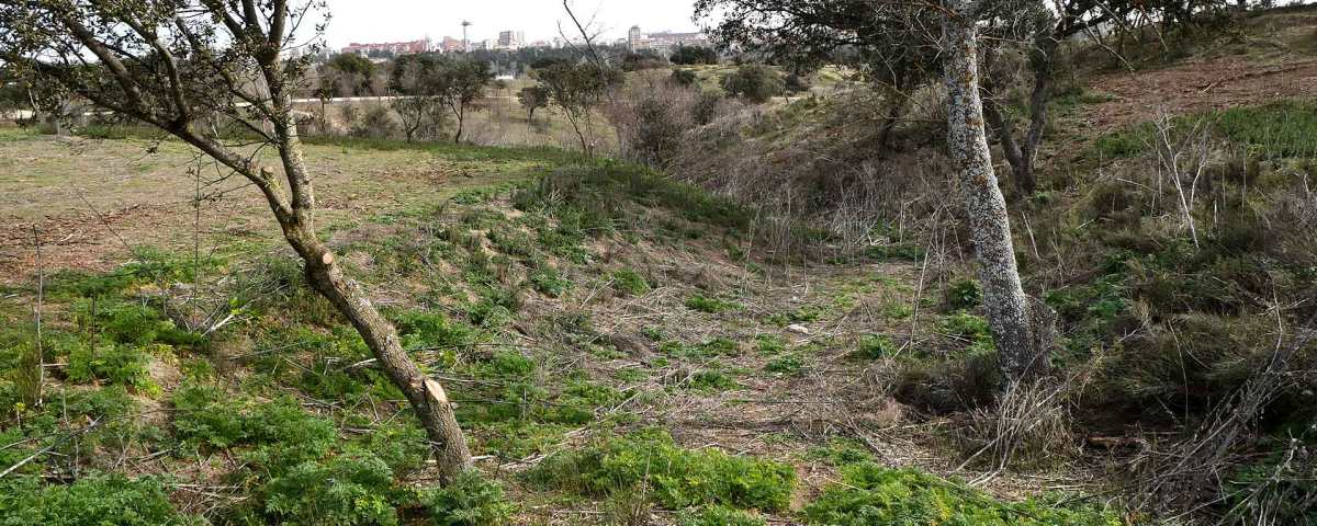 Arroyo de Valdeza