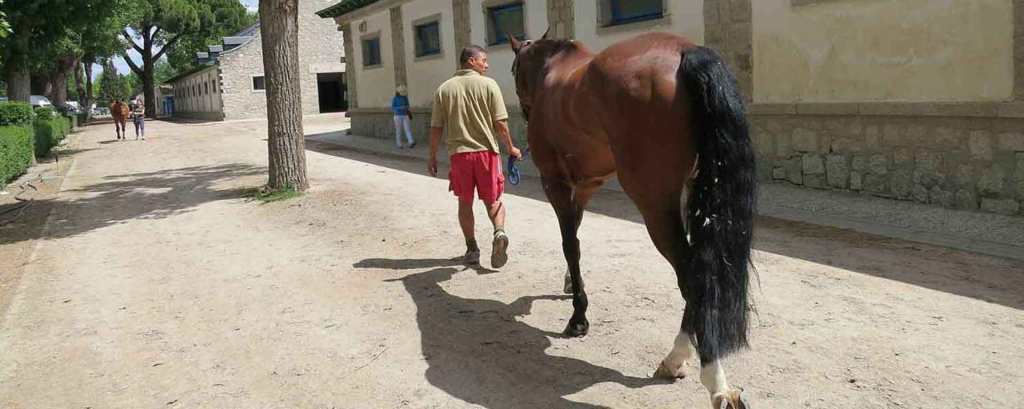 La Casa de Campo OCUPADA