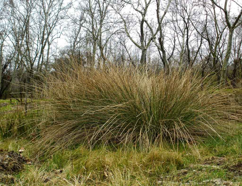 The sun shining over a ridge leading down into the shore. In the distance, a car drives down a road.