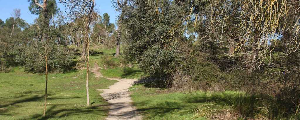 Cerro de los Alconeros