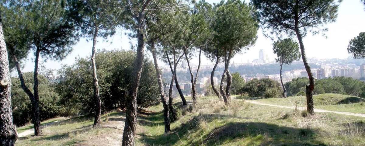 Cerro de las Canteras