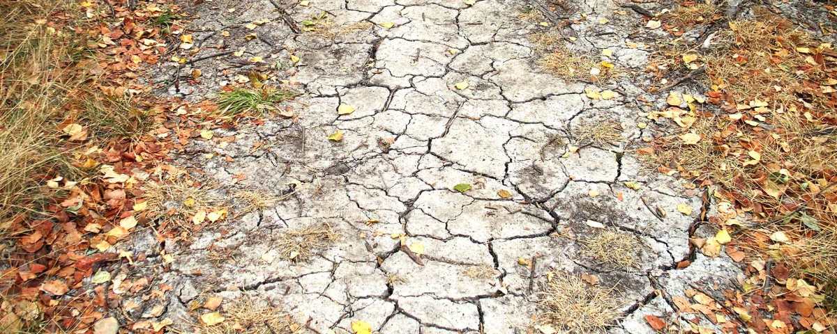 El Clima en la Casa de Campo