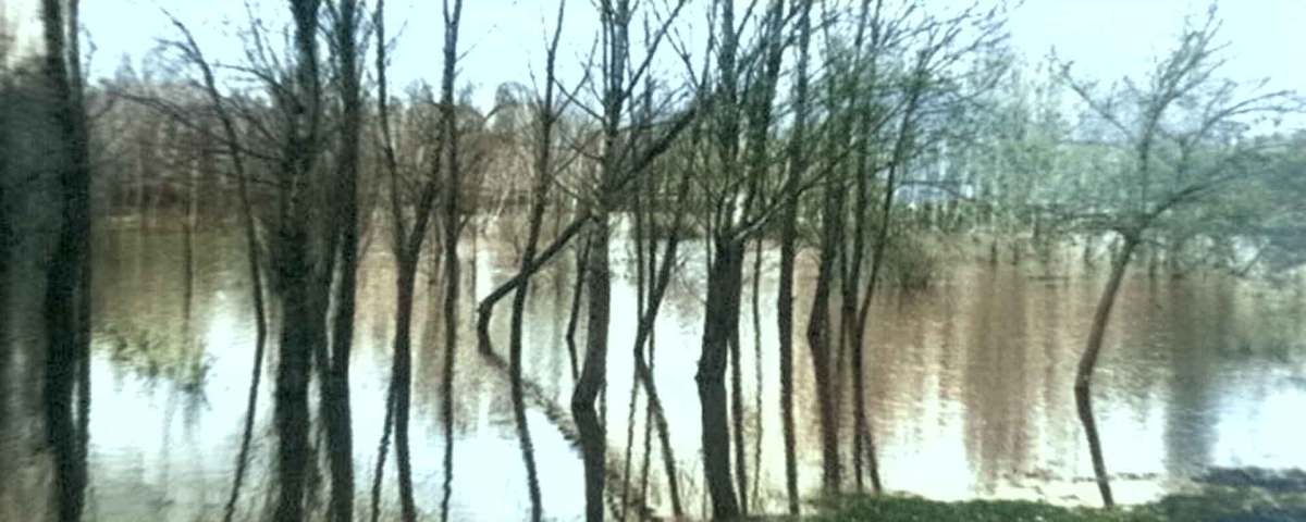 Lago Chico o de Patinar
