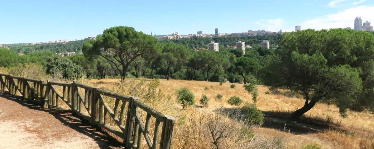 Cerro de las Figuras