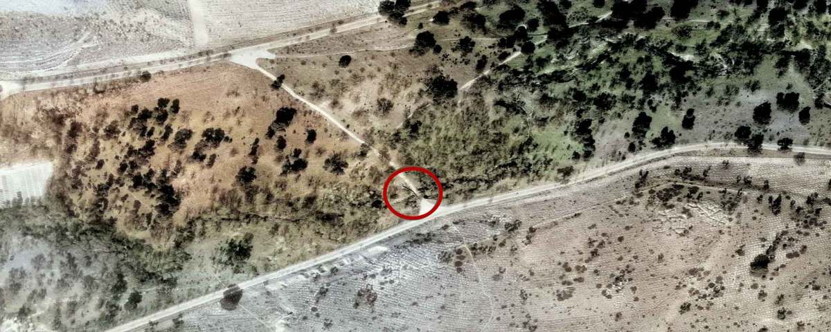 Puente del Álamo Negro