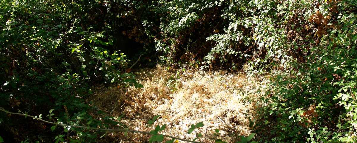 Lavadero de las Civilas