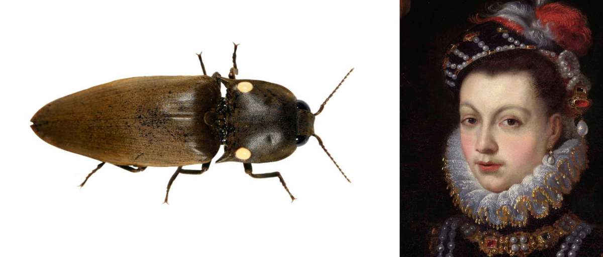 La reina que iluminó la corte